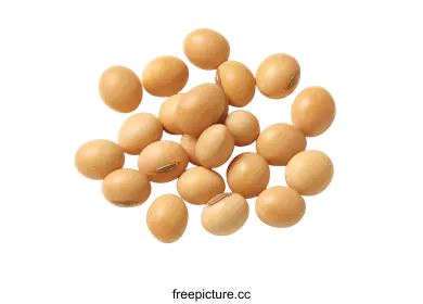soybeans