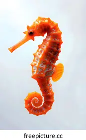 environmental protection