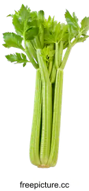 celery