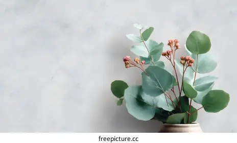 eucalyptus