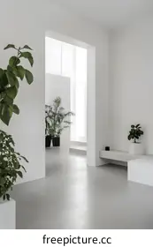 minimalist home