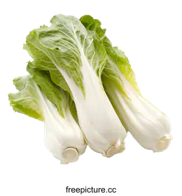 bok choy
