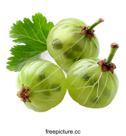 gooseberry
