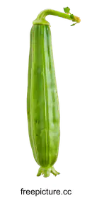okra
