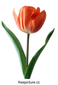 biodiversityphotography