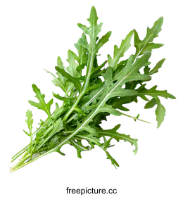 arugula