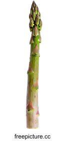 asparagus
