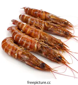 prawns