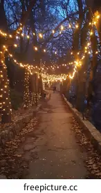 string lights