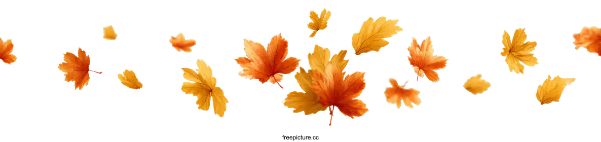maple leaves