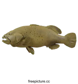grouper