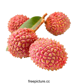 lychee