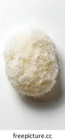 commercialphotography