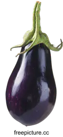 eggplant