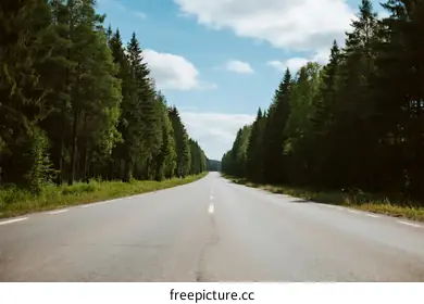 forest road