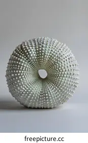 conversation starter