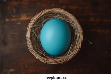 egg