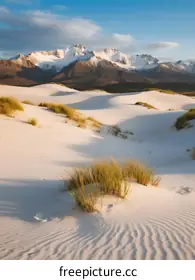 dunes