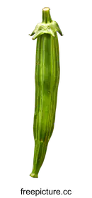 okra