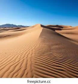 Sahara