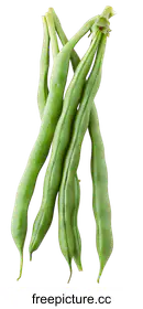 beans