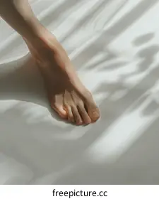 foot