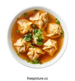 wonton