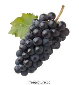 grapes