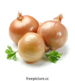 onion