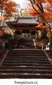 kyoto