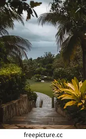 tropical landscape