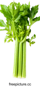 celery