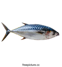 tuna