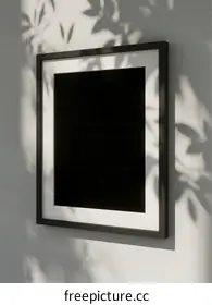 wall shadow