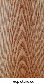 wood veneer