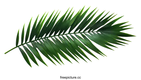 green leaf