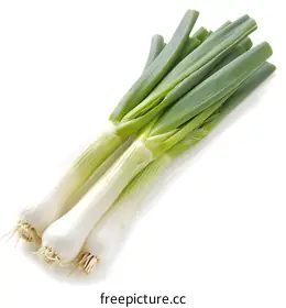 spring onion