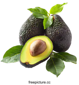 avocado
