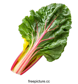 swiss chard