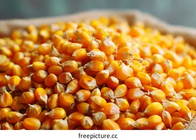 kernels