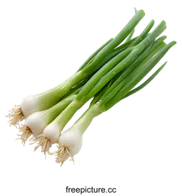 spring onion