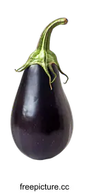 eggplant
