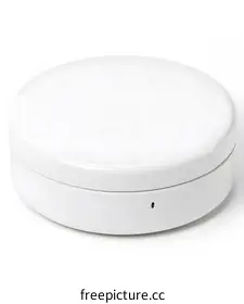 lid
