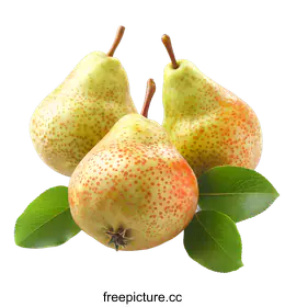 pears