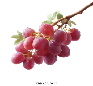 red grapes