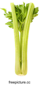 celery