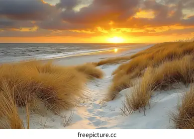sand dune