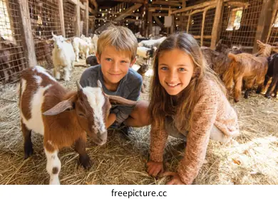 farm animals