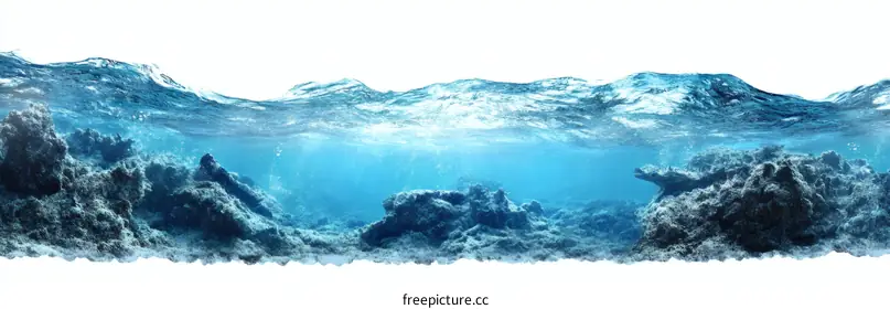 underwater scene