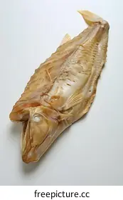 dried fish